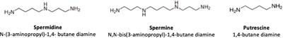 Polyamines in Food